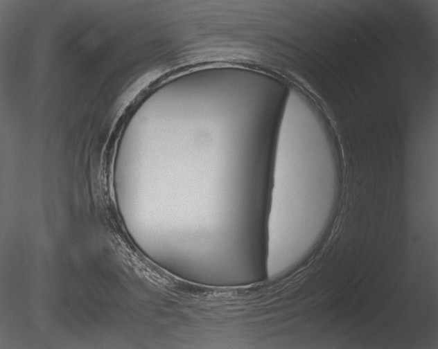 X0000085810883200703161026