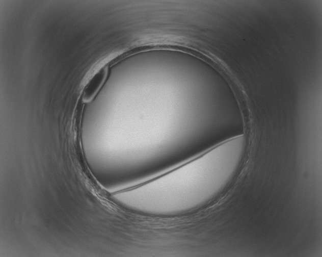 X0000085810885200703161026