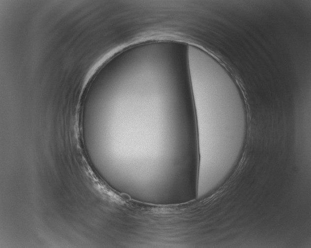 X0000085810904200703161025