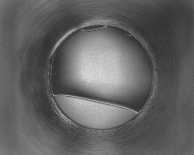 X0000085810912200703161025