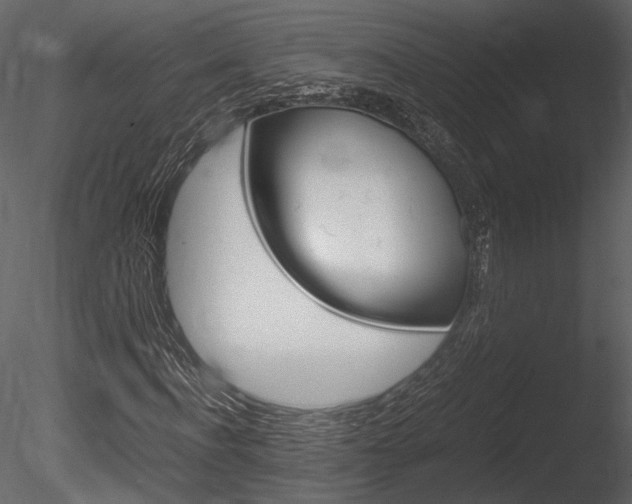 X0000085810916200703161024