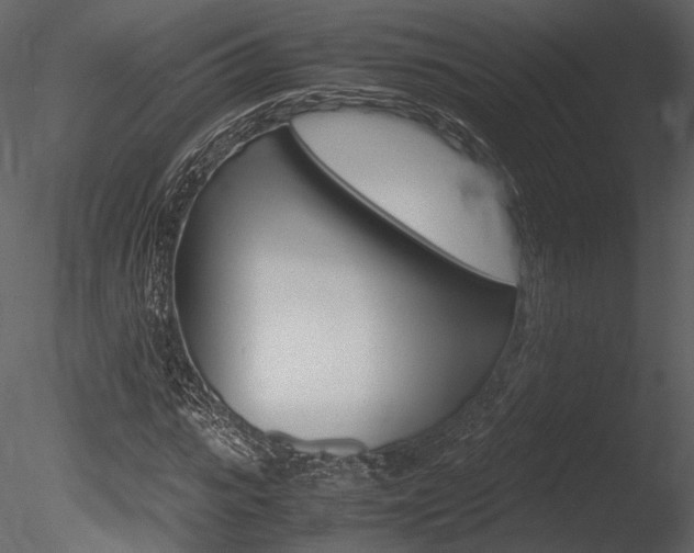 X0000085810919200703161025