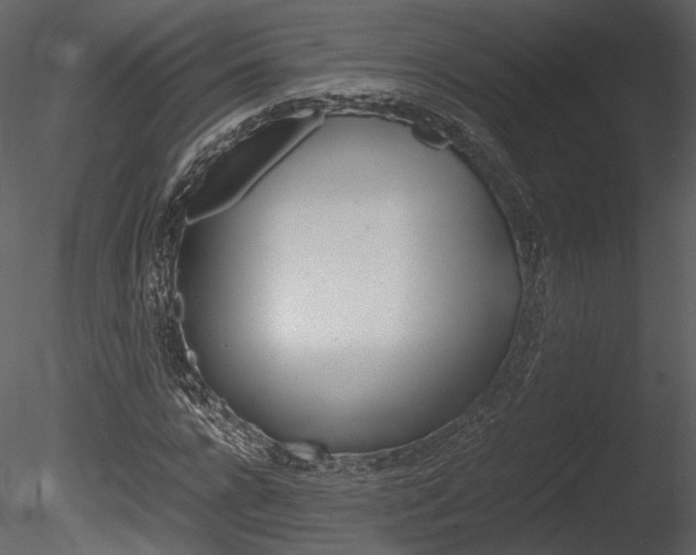 X0000085810920200703161025