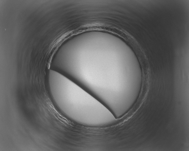 X0000085810921200703161025