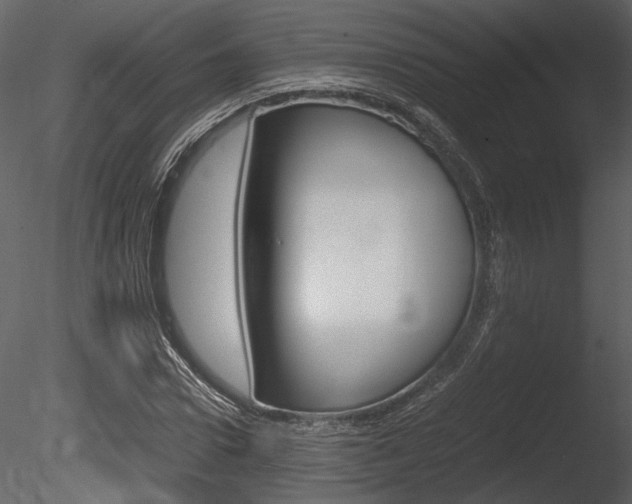 X0000085810922200703161025