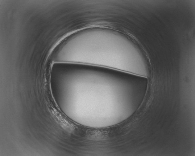 X0000085810923200703161025