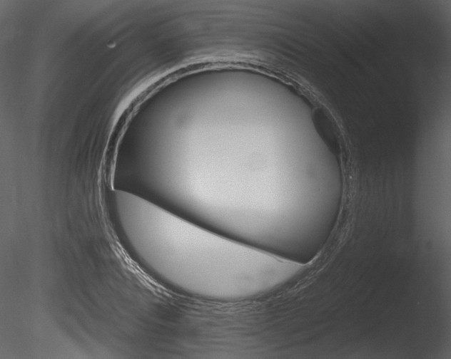 X0000085810928200703161025