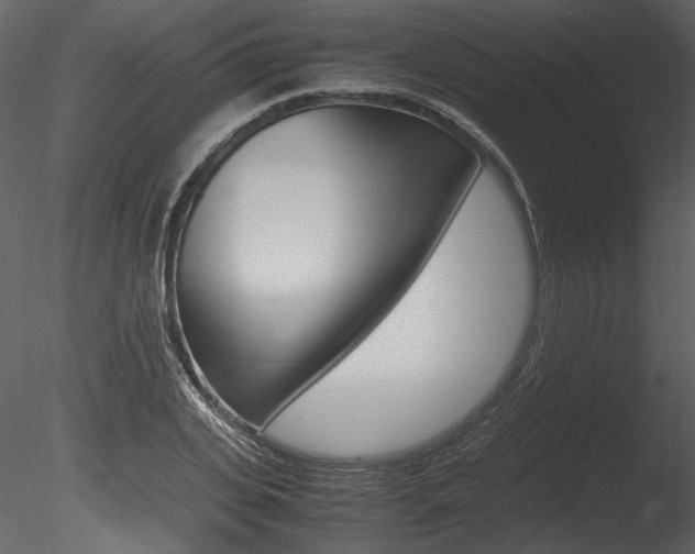 X0000085810935200703161025