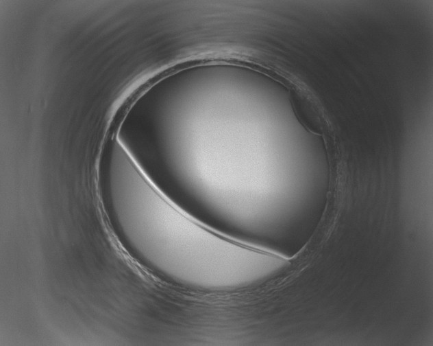 X0000085810936200703161025