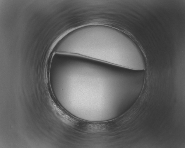 X0000085810939200703161025