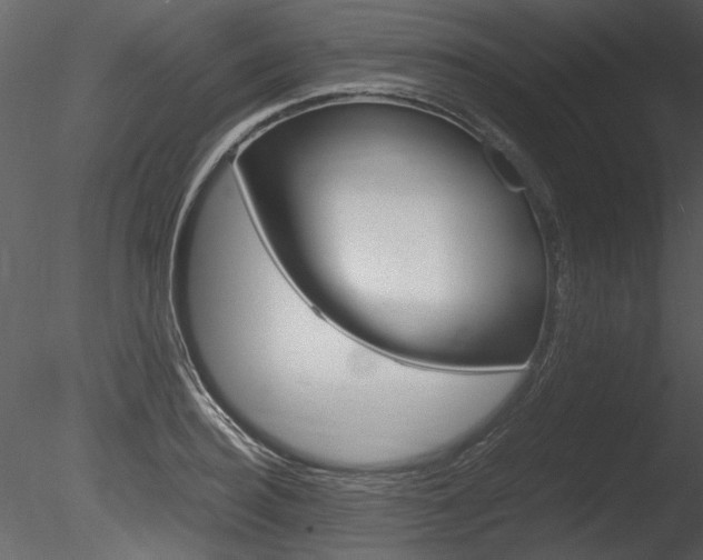 X0000085810940200703161025