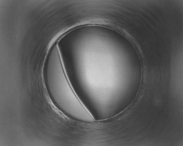 X0000085810944200703161025