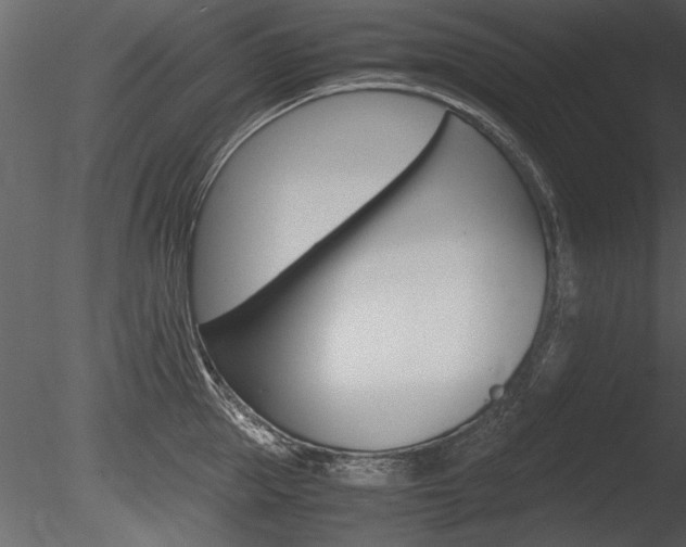 X0000085810953200703161025