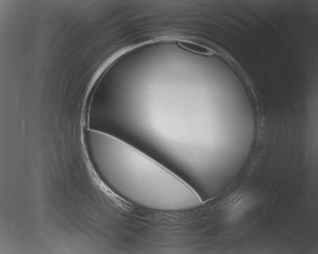 X0000085810955200703161025