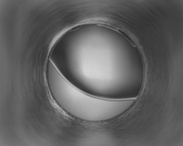 X0000085810960200703161025