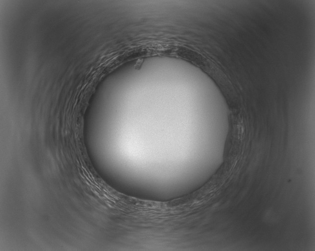 X0000085810961200703161024
