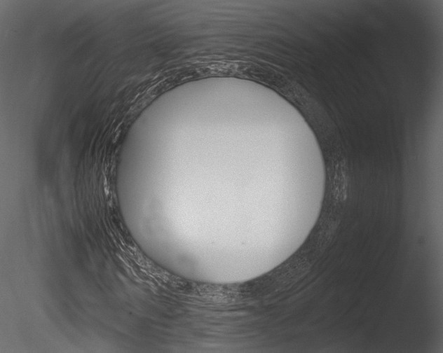 X0000085810962200703161024