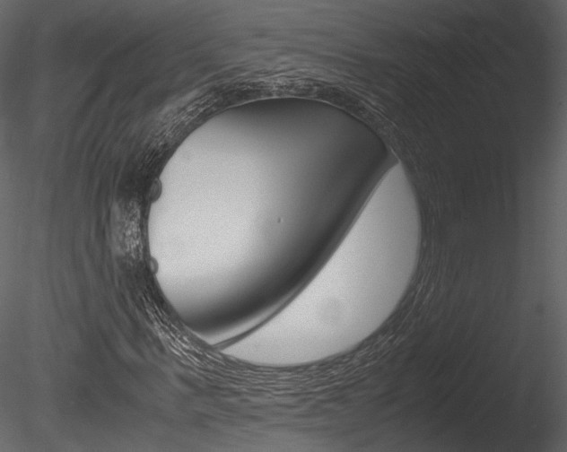 X0000085810963200703161024