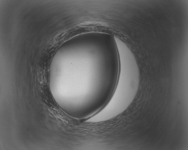 X0000085810965200703161024