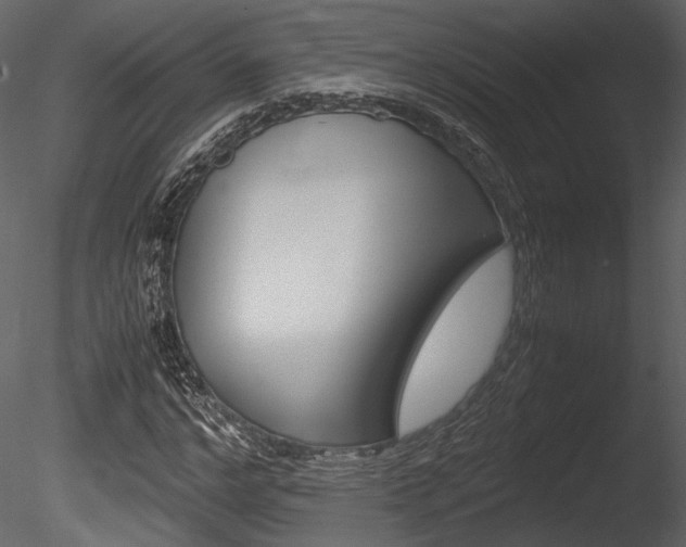X0000085810968200703161024