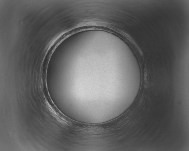 X0000085810972200703161024