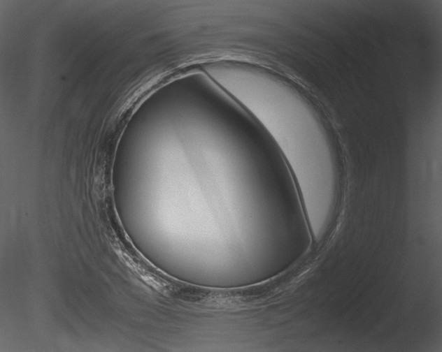 X0000085810977200703161024