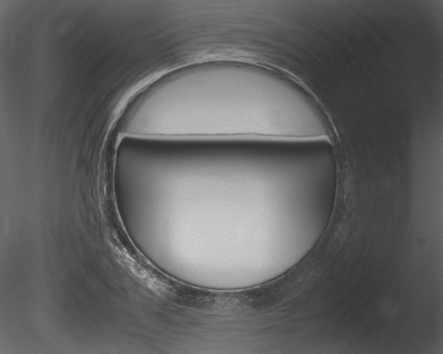 X0000085810979200703161024