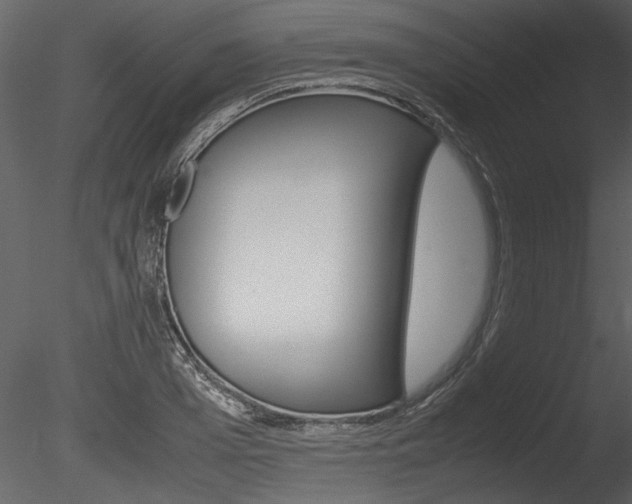 X0000085810985200703161024