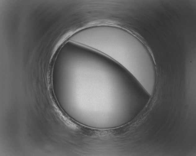 X0000085810997200703161024