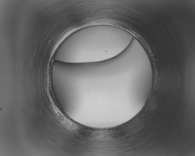 X0000085811000200703161024