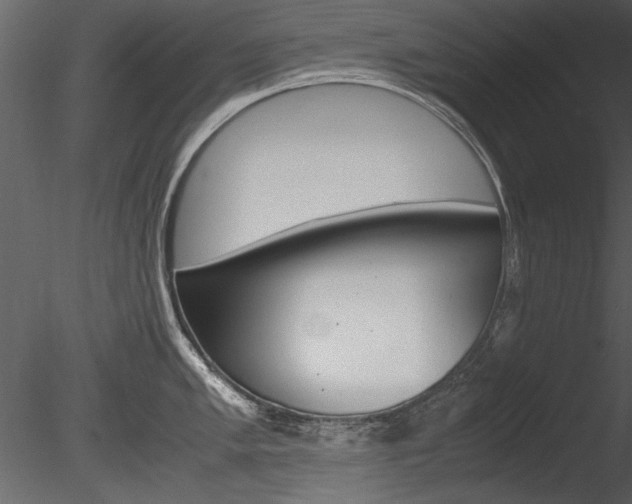 X0000085811005200703161024