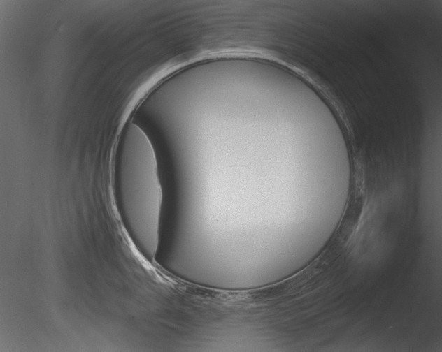X0000085811006200703161024