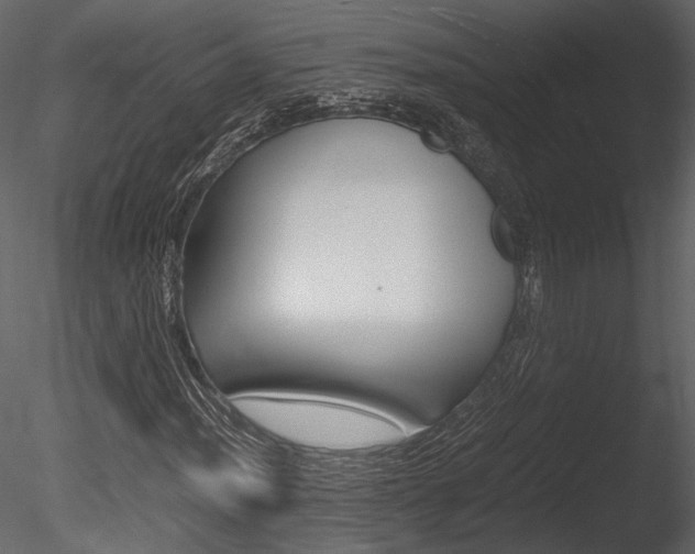X0000085811012200703161023