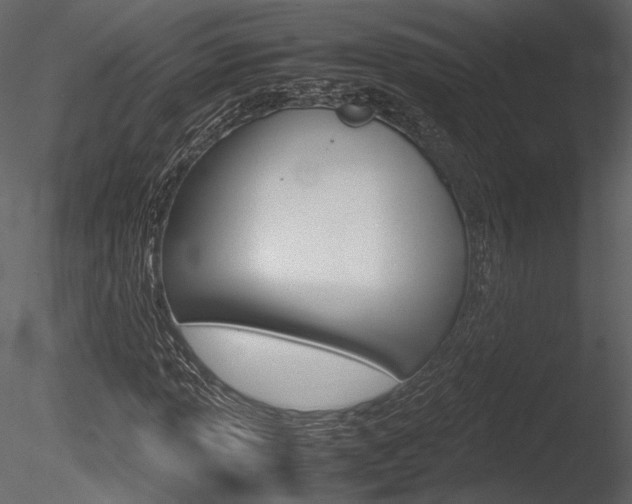 X0000085811013200703161023