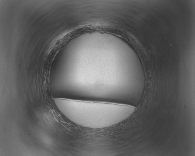 X0000085811016200703161023