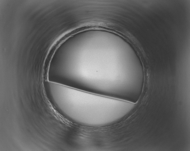 X0000085811020200703161023