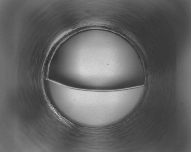 X0000085811024200703161023