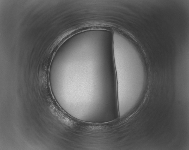 X0000085811025200703161023