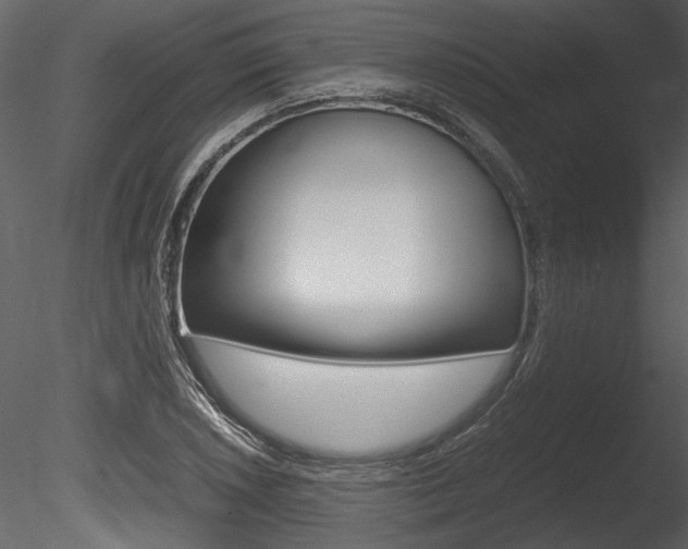 X0000085811026200703161023