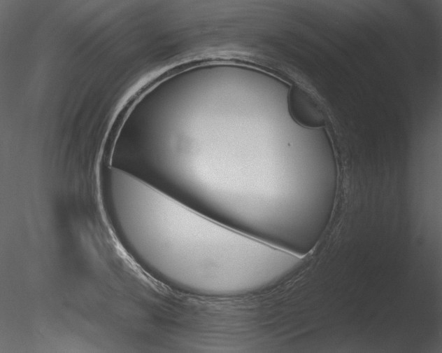 X0000085811032200703161023