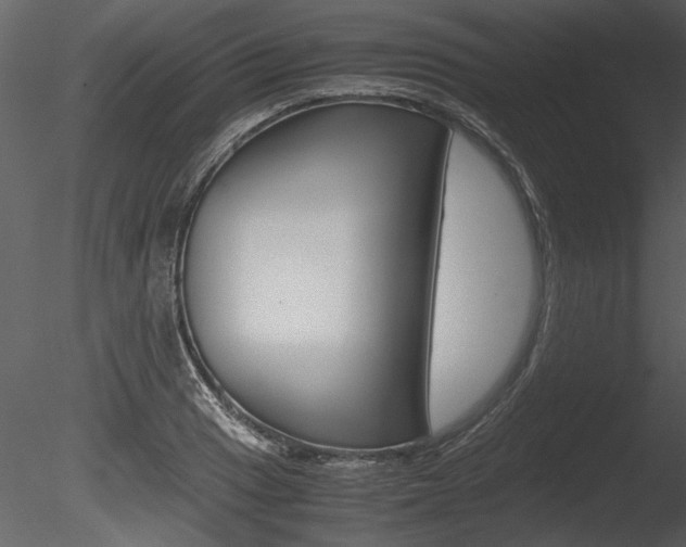 X0000085811033200703161023