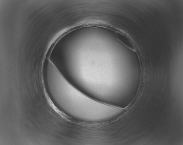 X0000085811038200703161023
