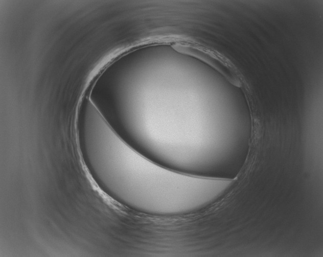 X0000085811046200703161023