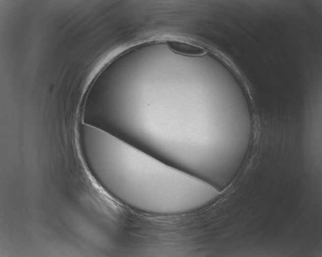 X0000085811048200703161023