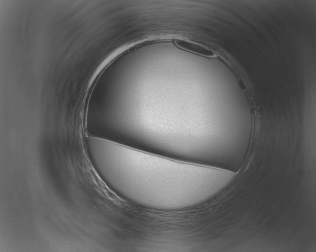 X0000085811052200703161023