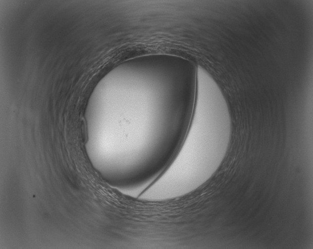 X0000085811057200703161023