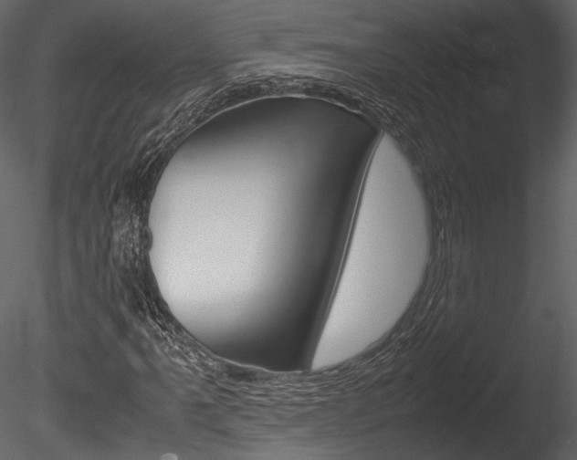 X0000085811061200703161023