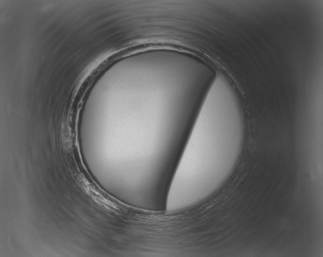 X0000085811068200703161023
