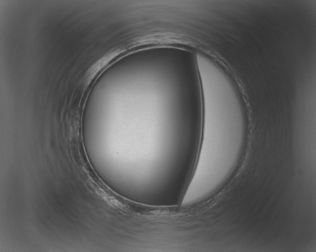 X0000085811081200703161022