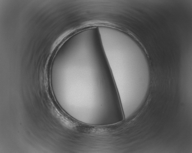 X0000085811082200703161022